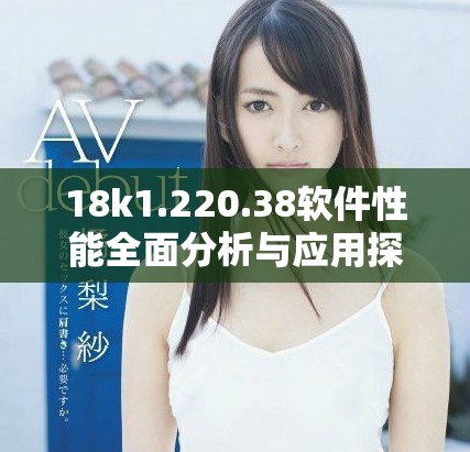 18k1.220.38软件性能全面分析与应用探讨