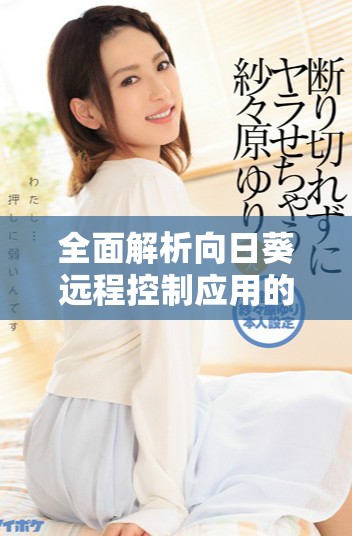 全面解析向日葵远程控制应用的下载方法与使用指南