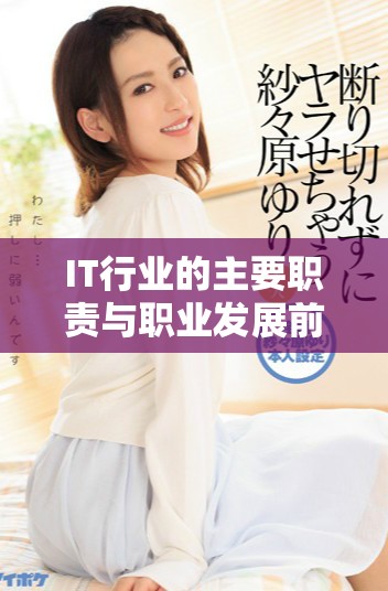 IT行业的主要职责与职业发展前景探讨与分析