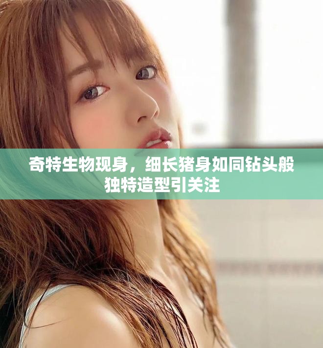 奇特生物现身，细长猪身如同钻头般独特造型引关注