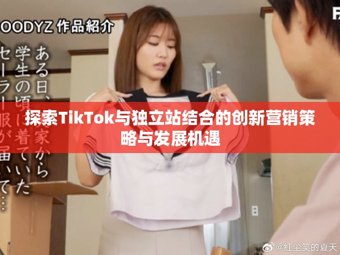 探索TikTok与独立站结合的创新营销策略与发展机遇